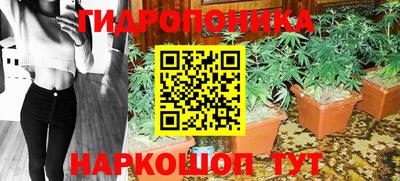 шишки Кинель