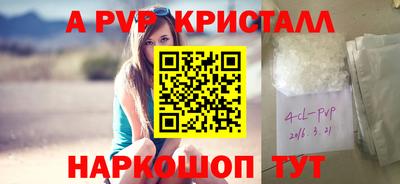 бошки Кимры