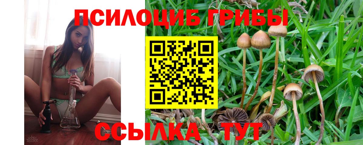 Уссурийск  Псилоцибиновые грибы Magic Shrooms  цена   Вход с VPN 